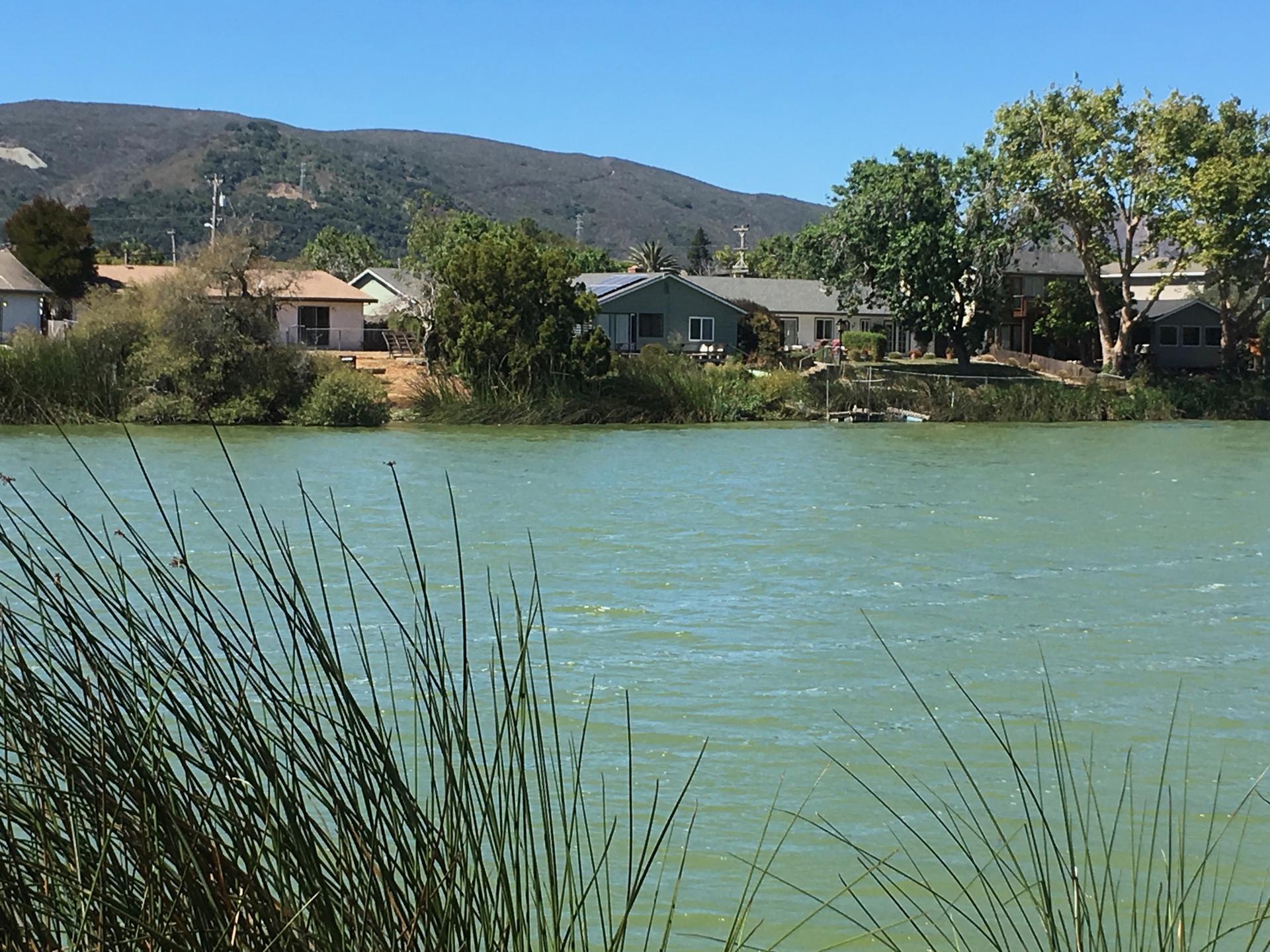 Green water with reeds in foreground, houses and hills under bright sky.