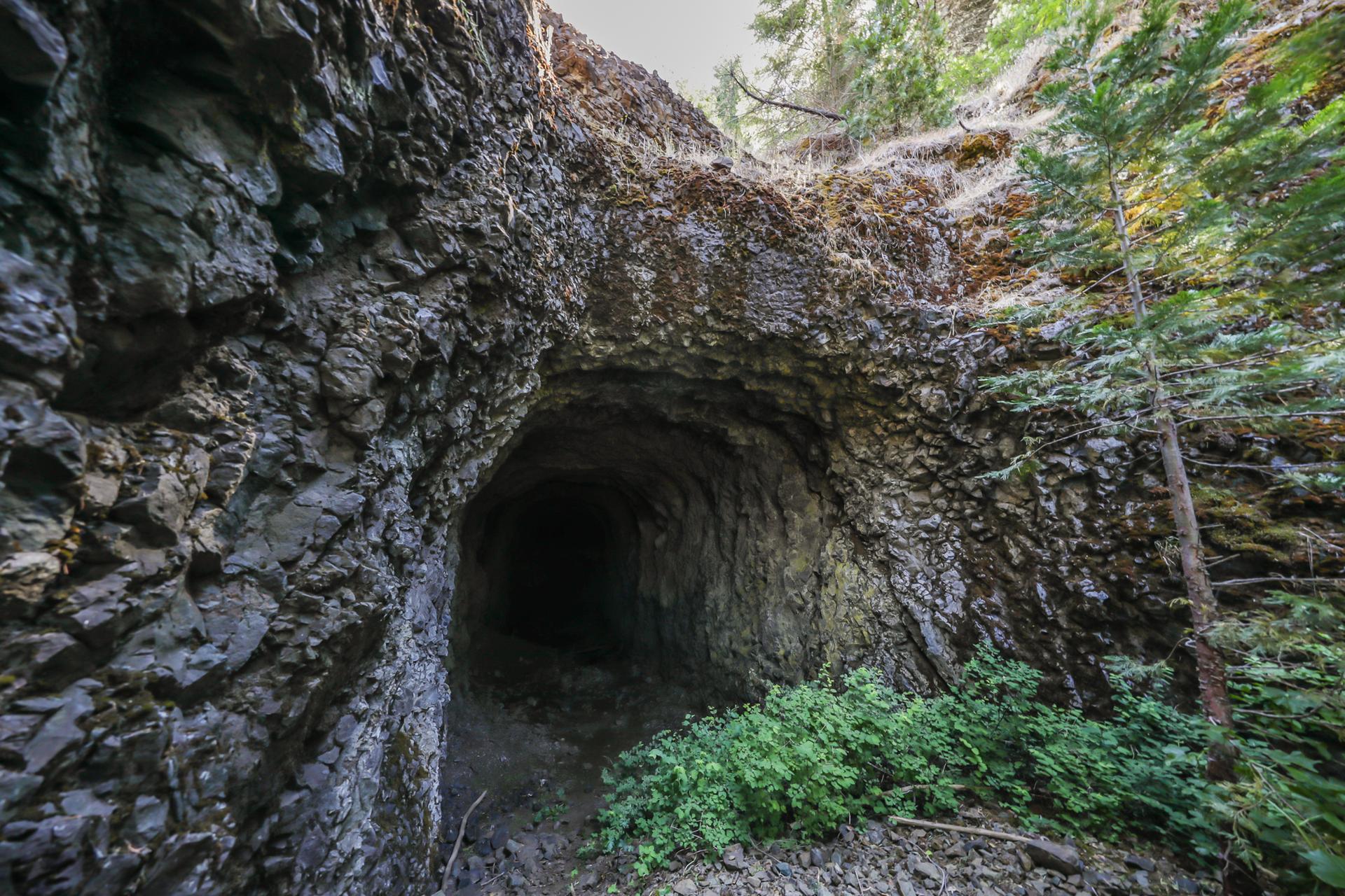 Dark cave entrance in a rocky cliff, surrounded by green foliage.