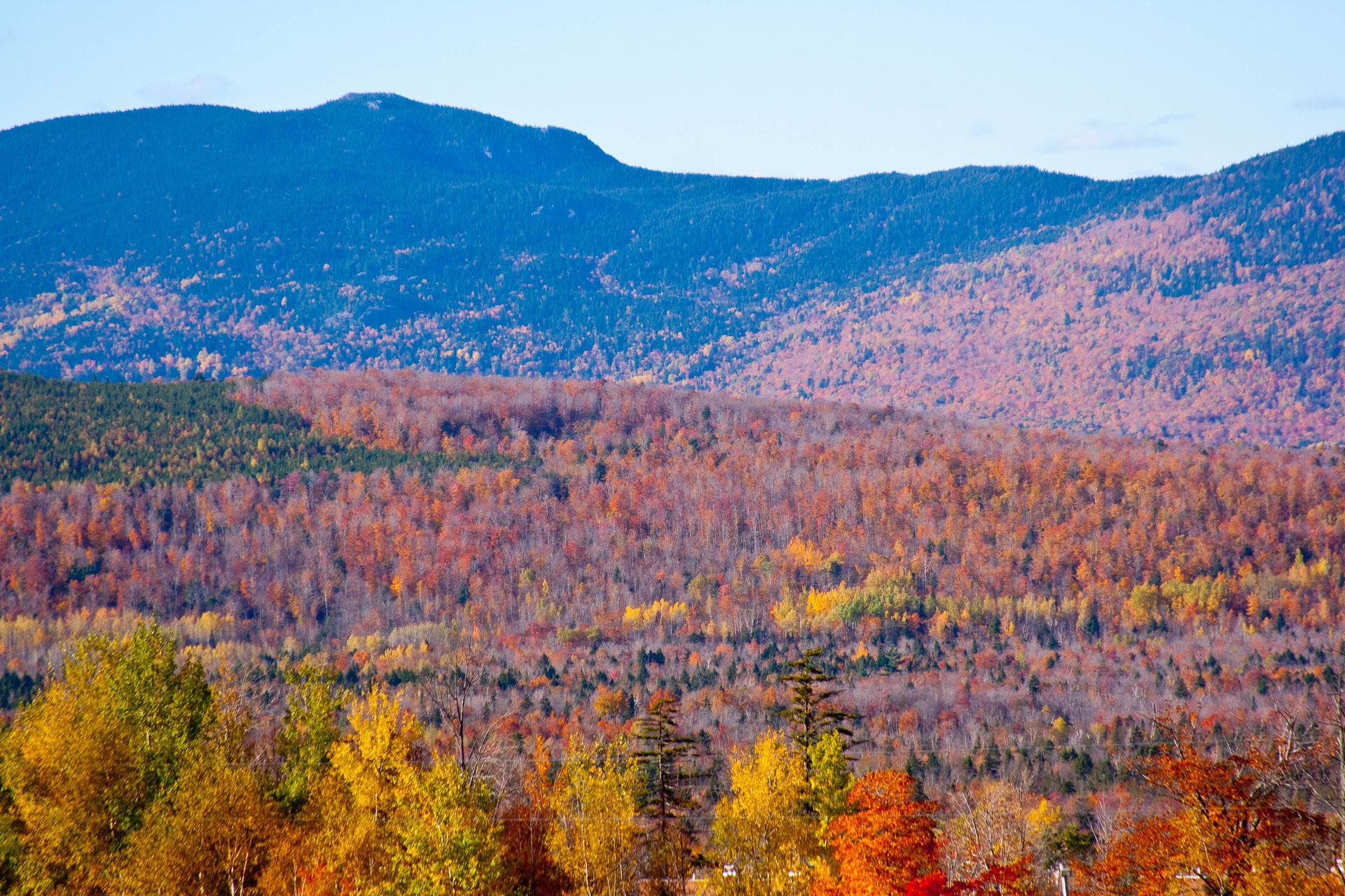 Expansive view of colorful autumn forests and distant mountains under a clear sky.