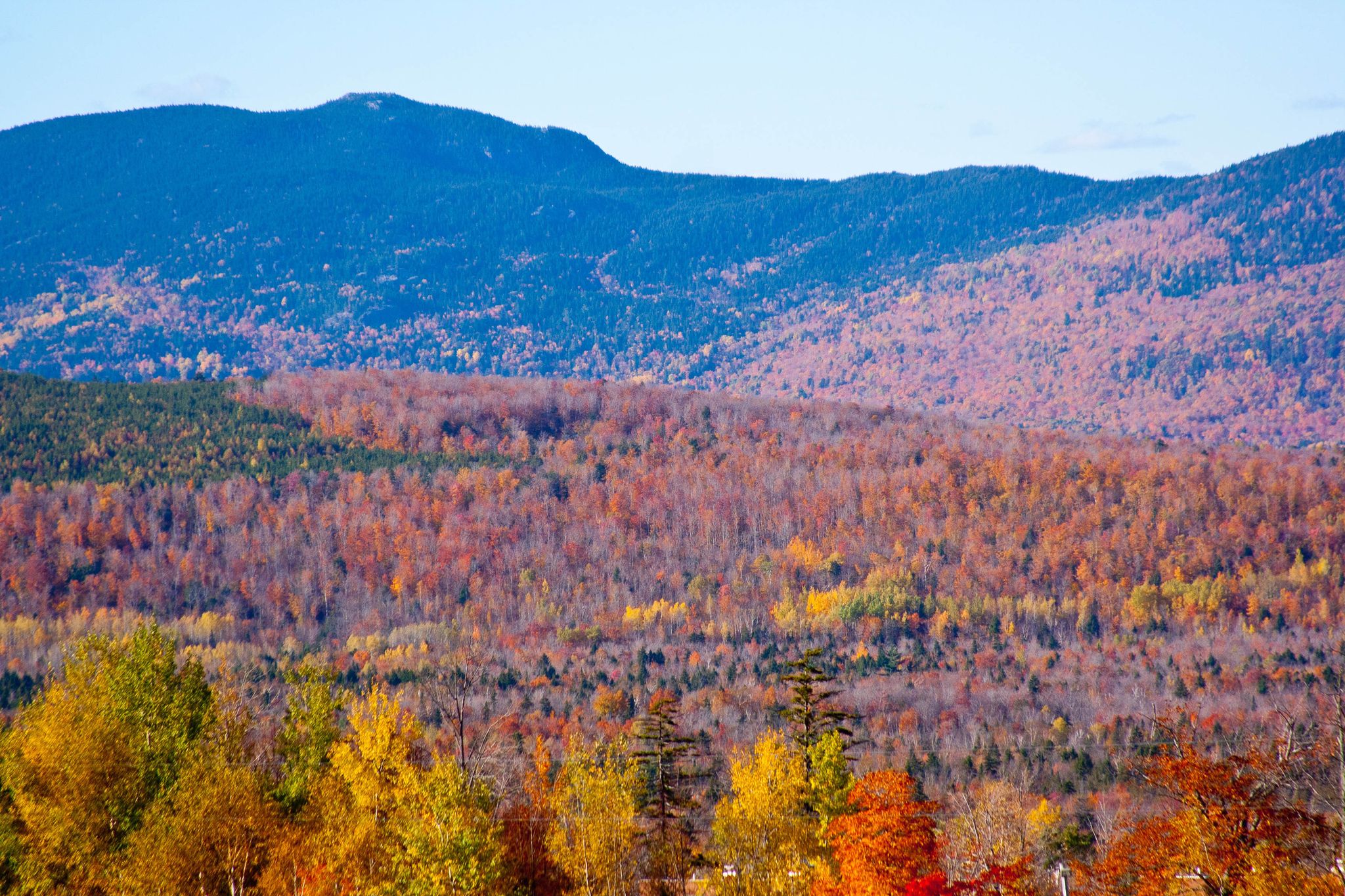 Expansive view of colorful autumn forests and distant mountains under a clear sky. - Sugarloaf Mountain loop from Village Gated Parking