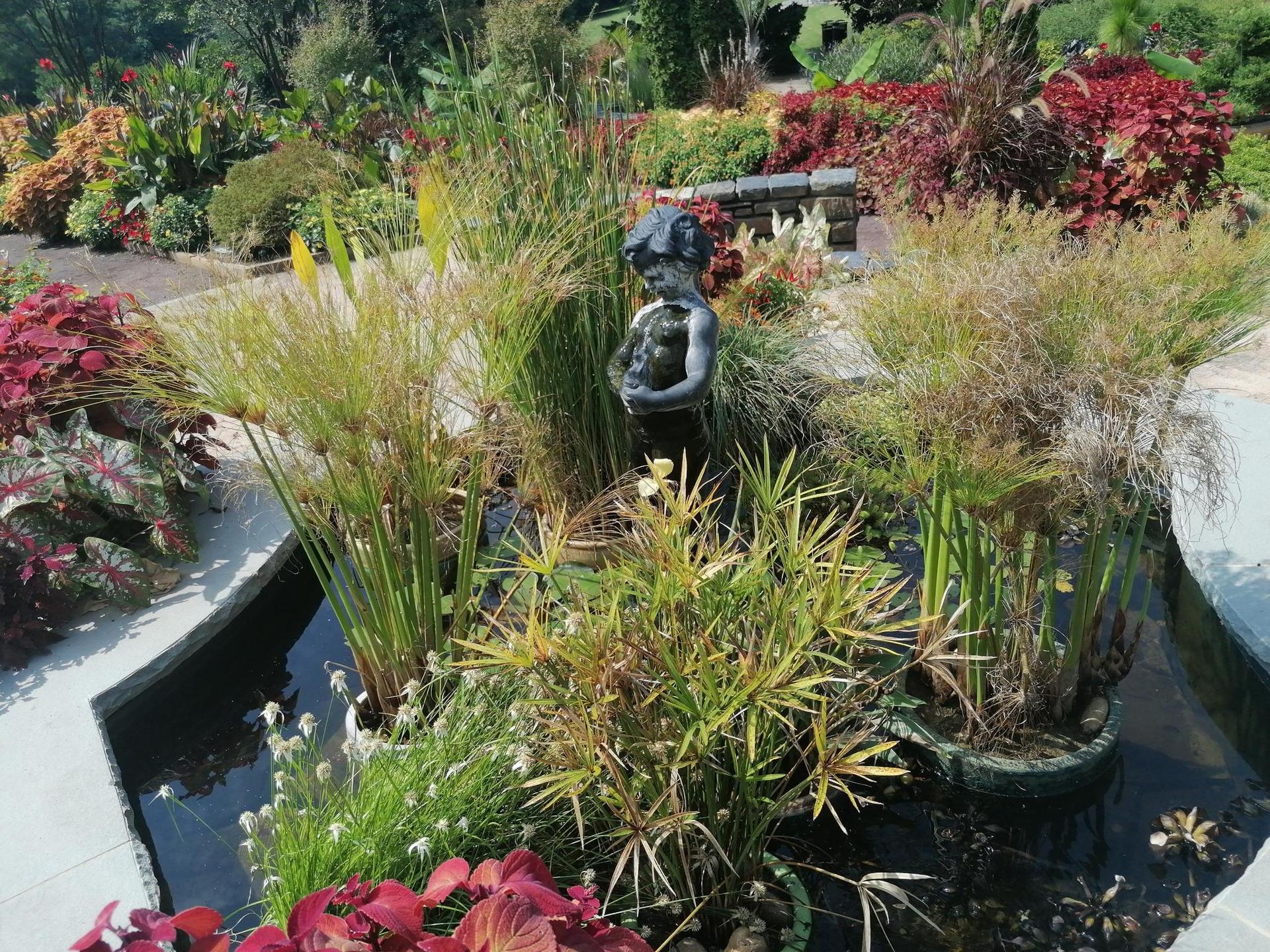 Colorful garden with a small pond, statue, and diverse lush plants in sunlight.