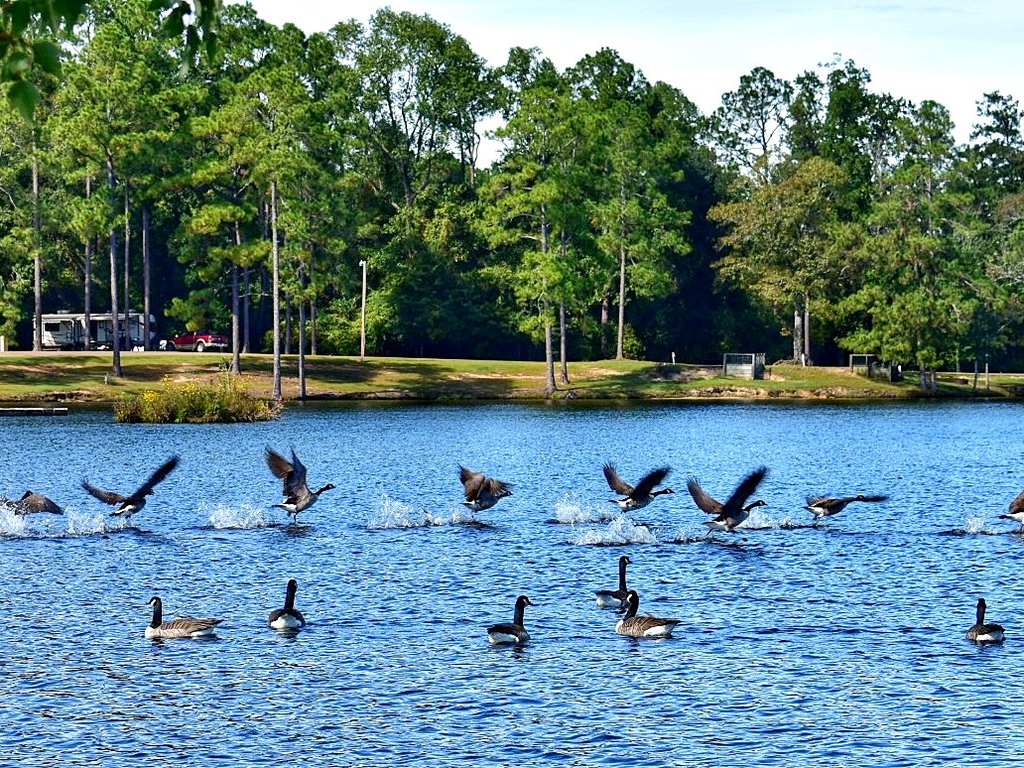 Lake at Paul B. Johnson State Park – Hikes & How to Get There