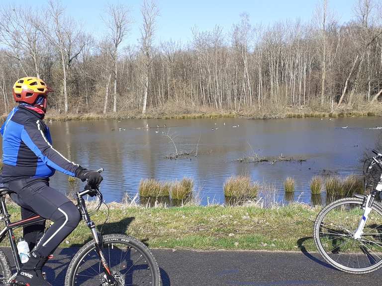 Teich in der Myhler Schweiz Radtouren und Radwege komoot