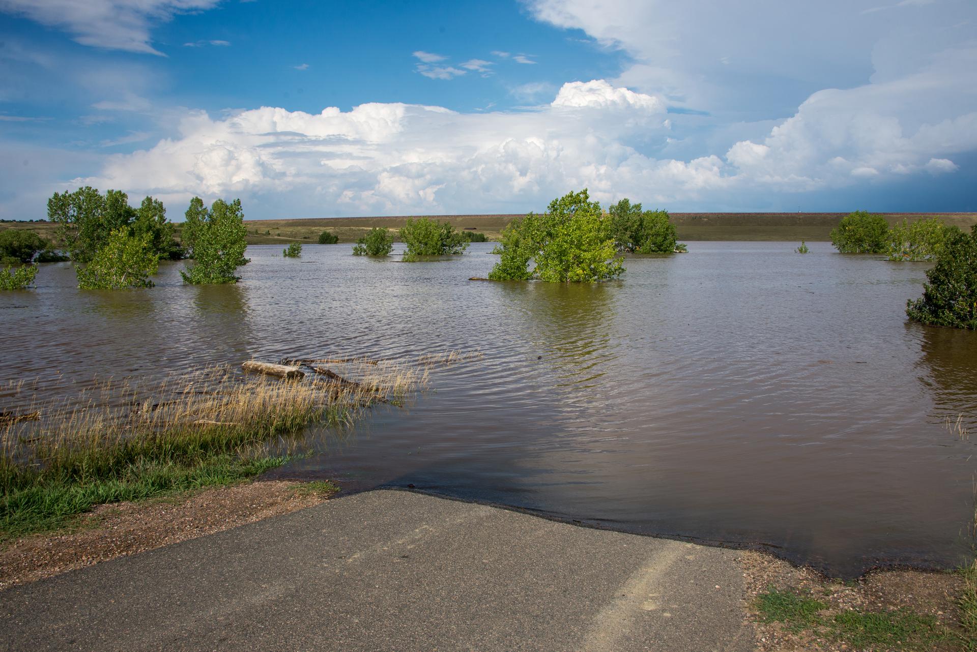 Flooded field with submerged trees and a paved road under a cloudy sky.