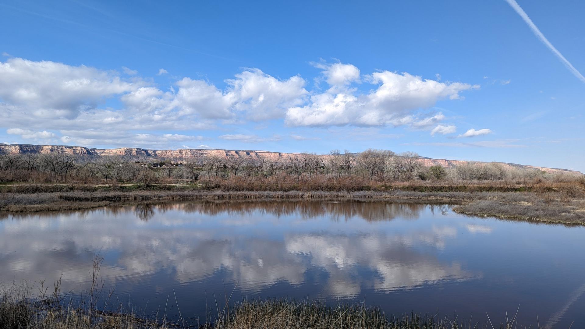 Calm water reflects white clouds, with bare trees and a distant mesa.