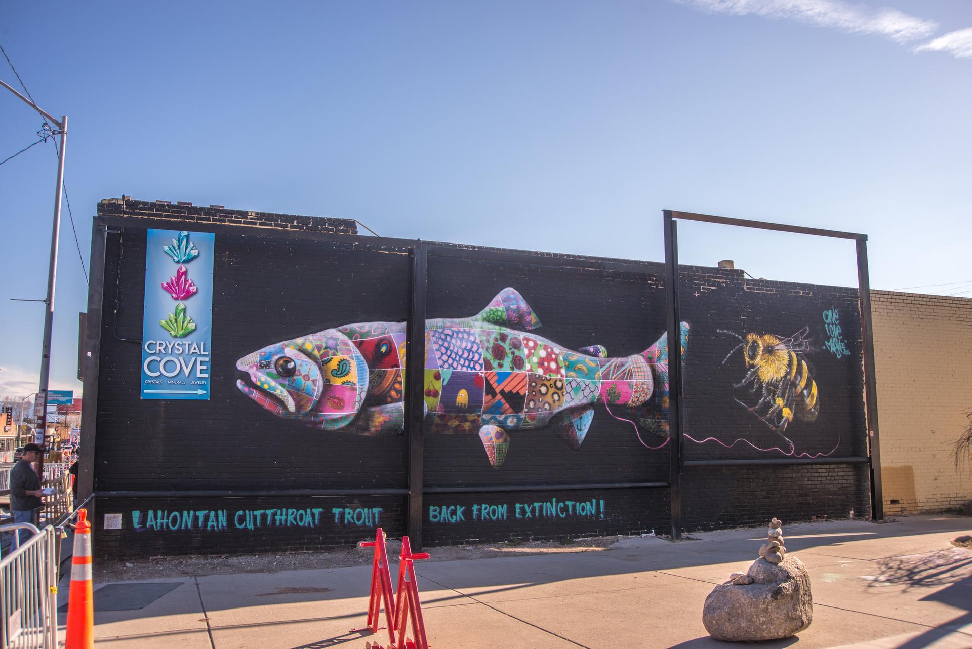 Colorful fish and bee murals on a dark wall with a person nearby, sunny day.