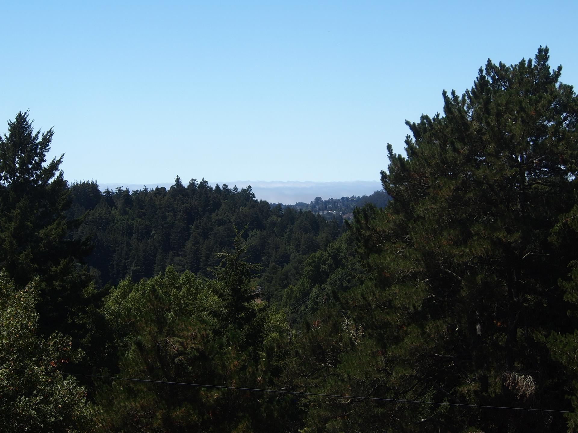 Dense green forest covers rolling hills under a clear blue sky.