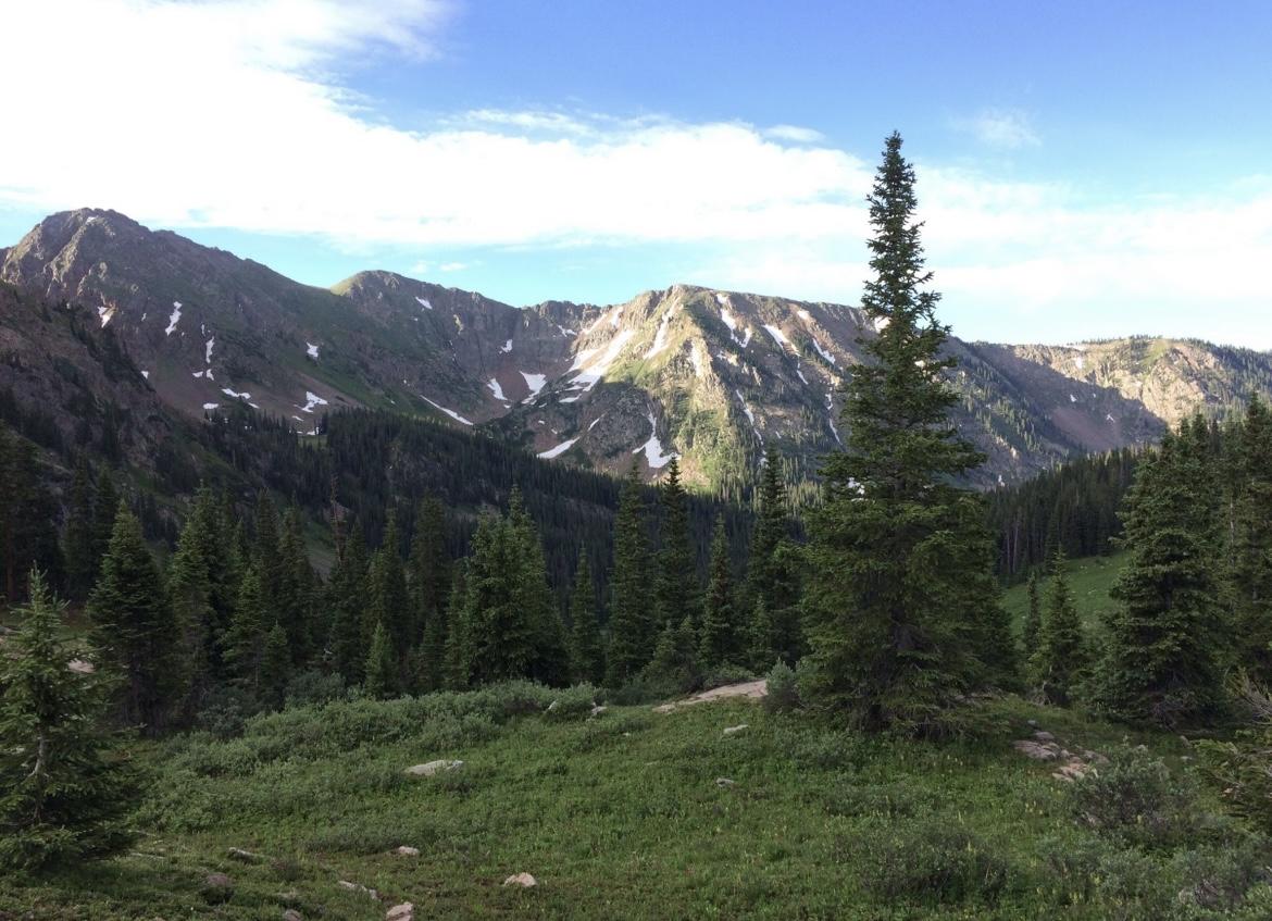 Majestic mountains with snow patches and dense forest under a bright sky.