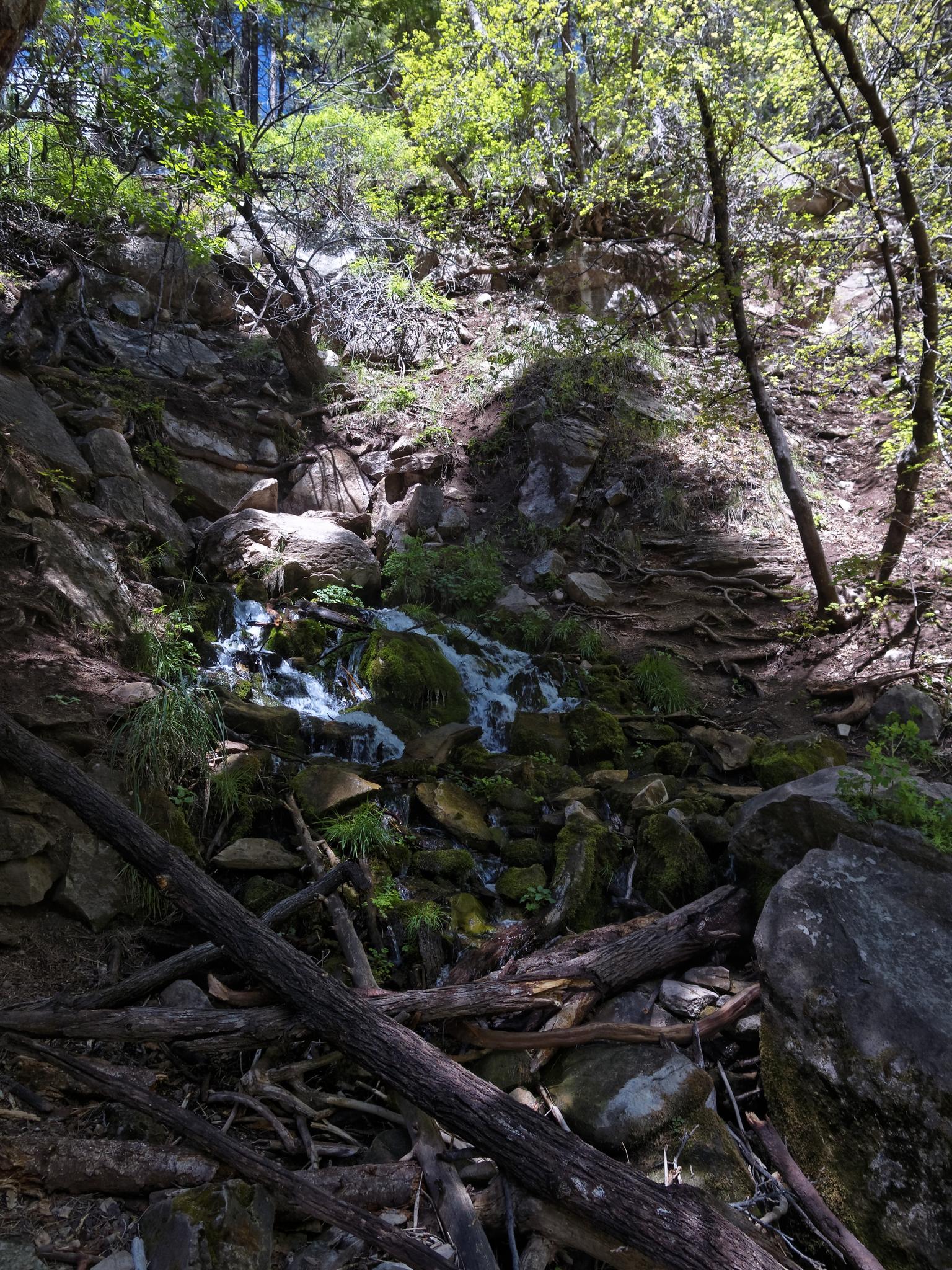 Small waterfall cascades down a mossy, rocky hillside in a shaded forest.