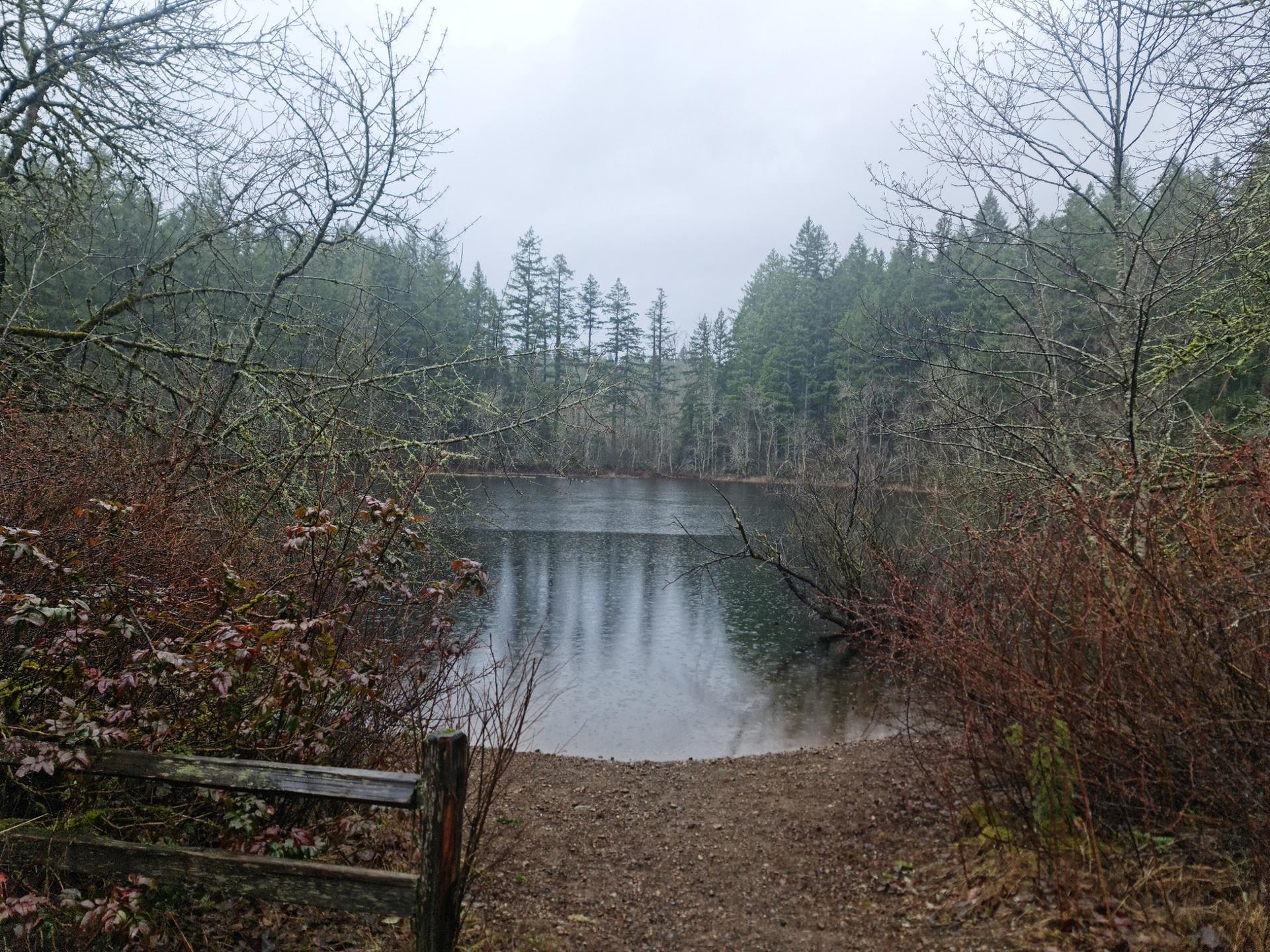 Overcast view of a calm lake surrounded by bare trees and bushes.
