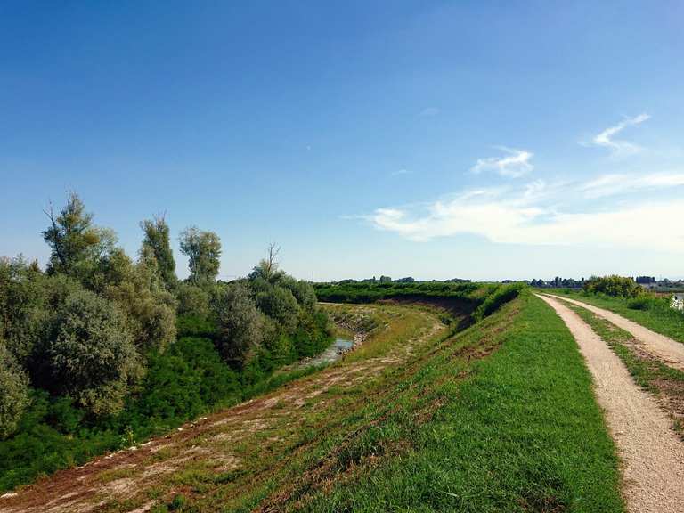 Senderismo en la naturaleza a lo largo de los márgenes de ríos y ...