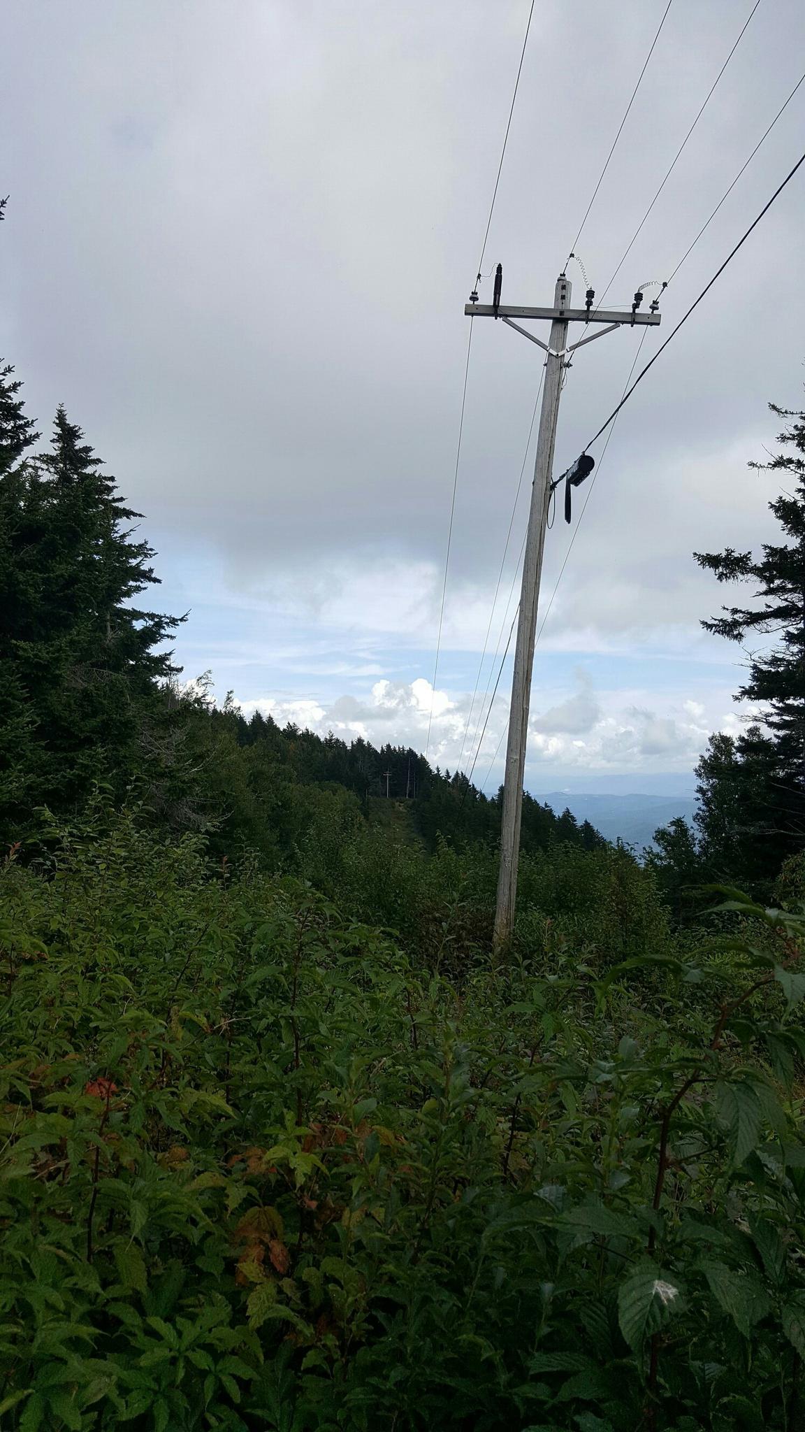 A utility pole on a steep, forested mountain slope under a cloudy sky.
