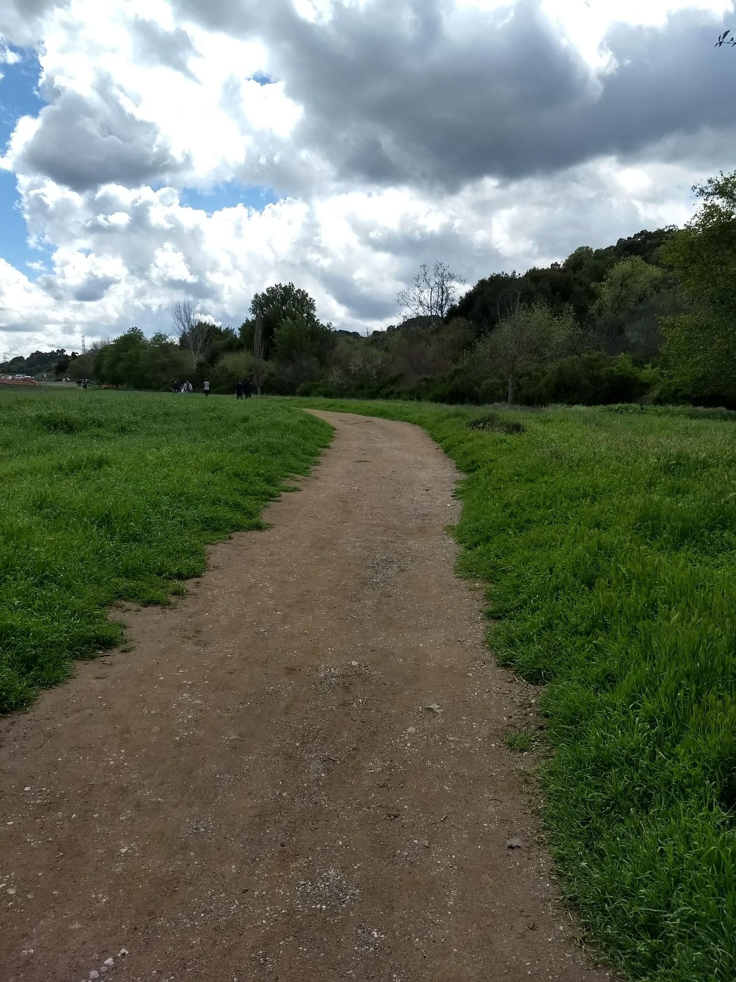 Dirt path through green grass under a cloudy sky. - Stephen E. Abbors, Wildcat, and Coyote Trail Loop