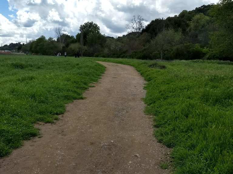 Stephen E. Abbors, Wildcat, and Coyote Trail Loop | hike | Komoot
