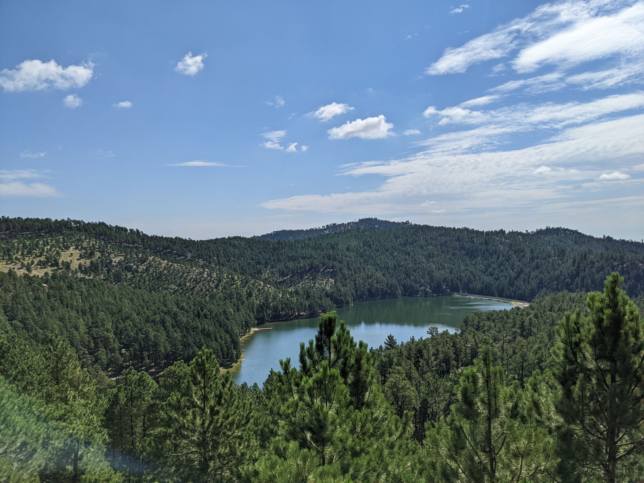Expansive view of a serene lake nestled within a dense pine forest. - The Lost Trails: Upper Loop and Overlook