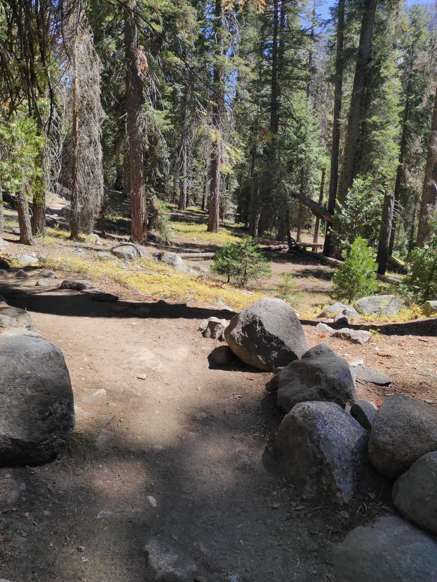 A dirt path winding through a sun-dappled forest with large rocks.