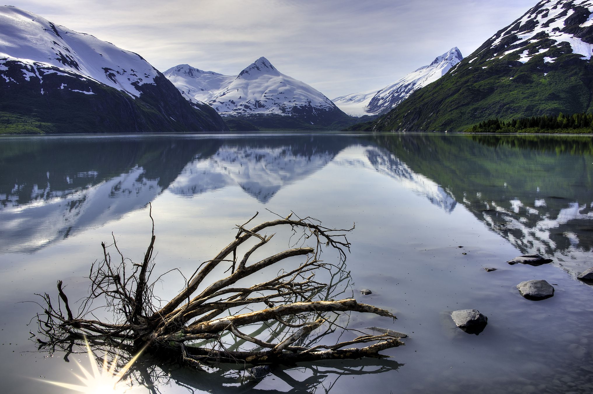 A serene lake reflects snow-capped mountains, with driftwood in the foreground. - Girwood to Portage Lake