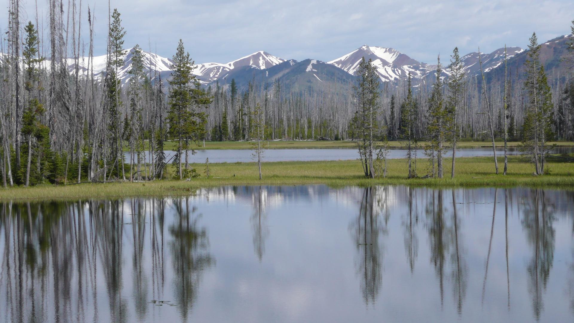 Calm lake reflecting bare trees and snow-capped mountains under a cloudy sky.