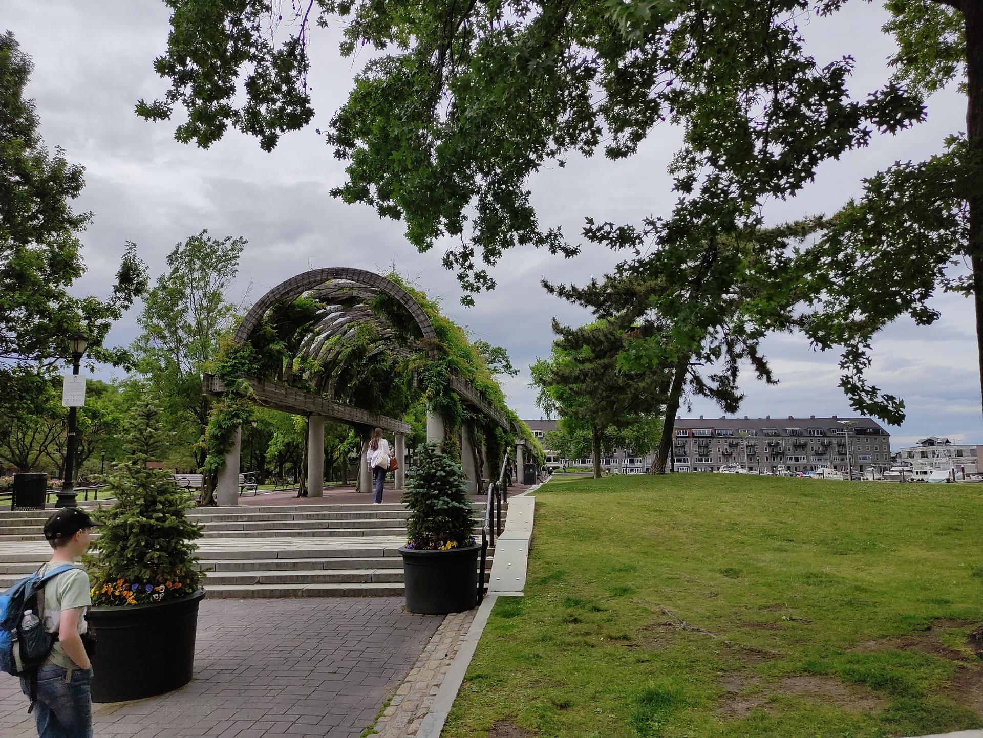 People walking under a vine-covered archway in a park on a cloudy day.