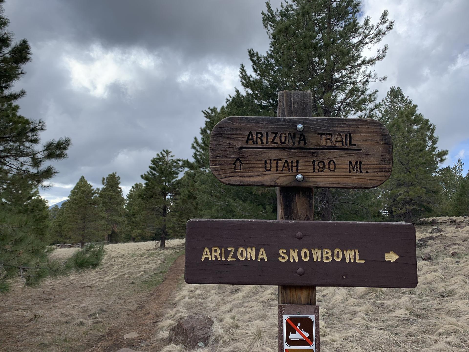 Wooden trail signpost in a forest clearing under an overcast sky.