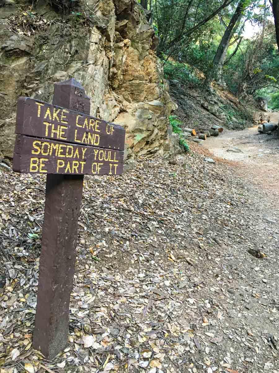 A wooden sign on a leaf-covered dirt path next to a rocky cliff.