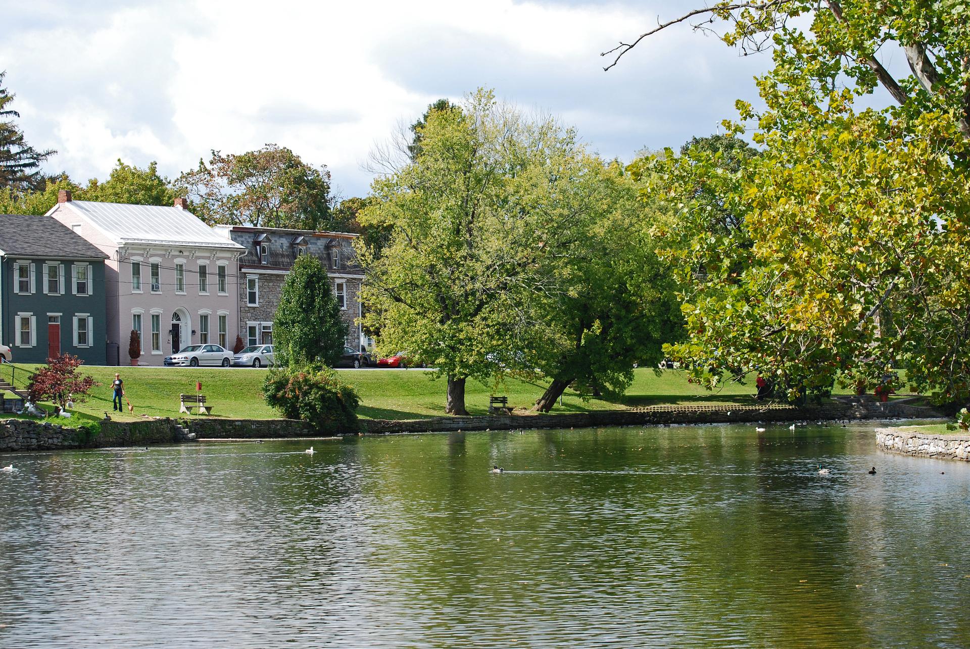 Lakeside view of historic houses, green trees, and ducks on water.