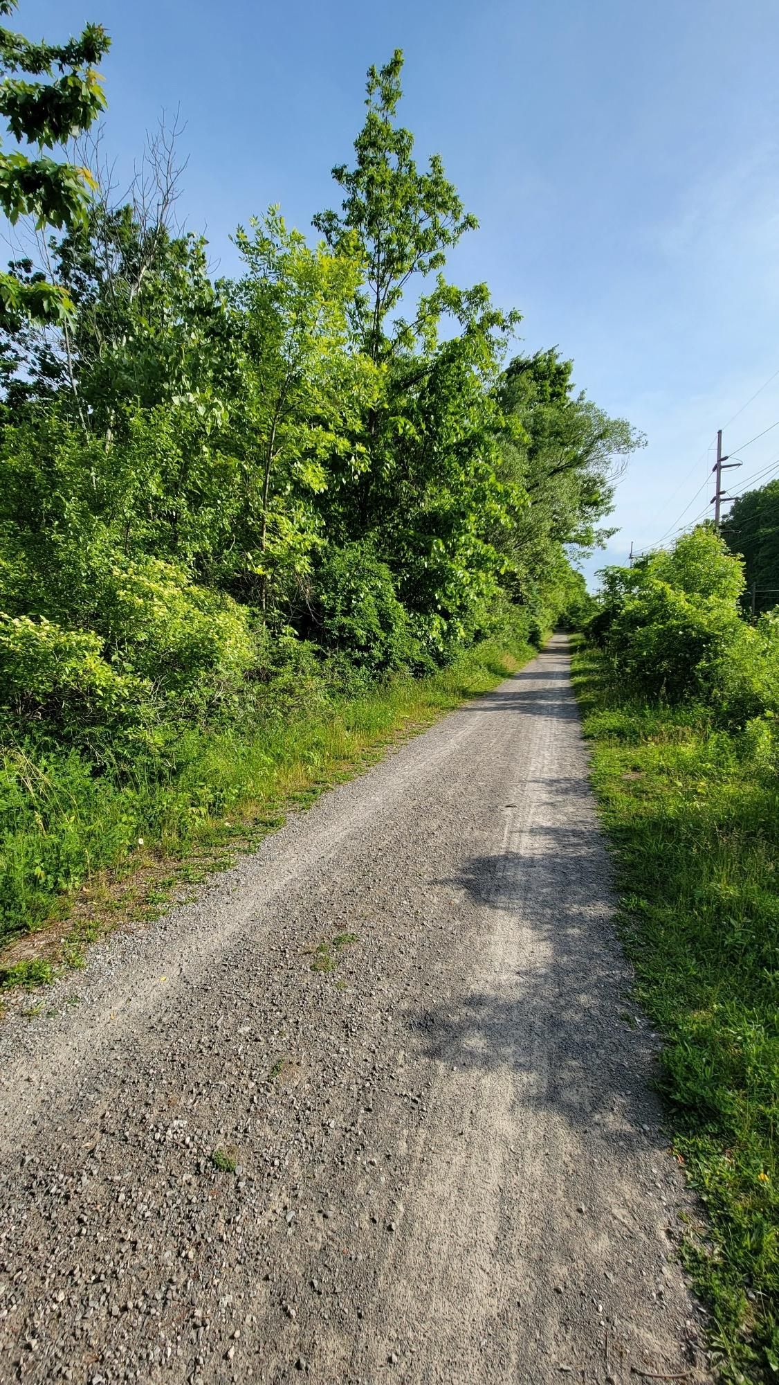 Gravel path winding through dense green foliage on a bright sunny day. - Auburn and Lehigh Valley Trails Loop