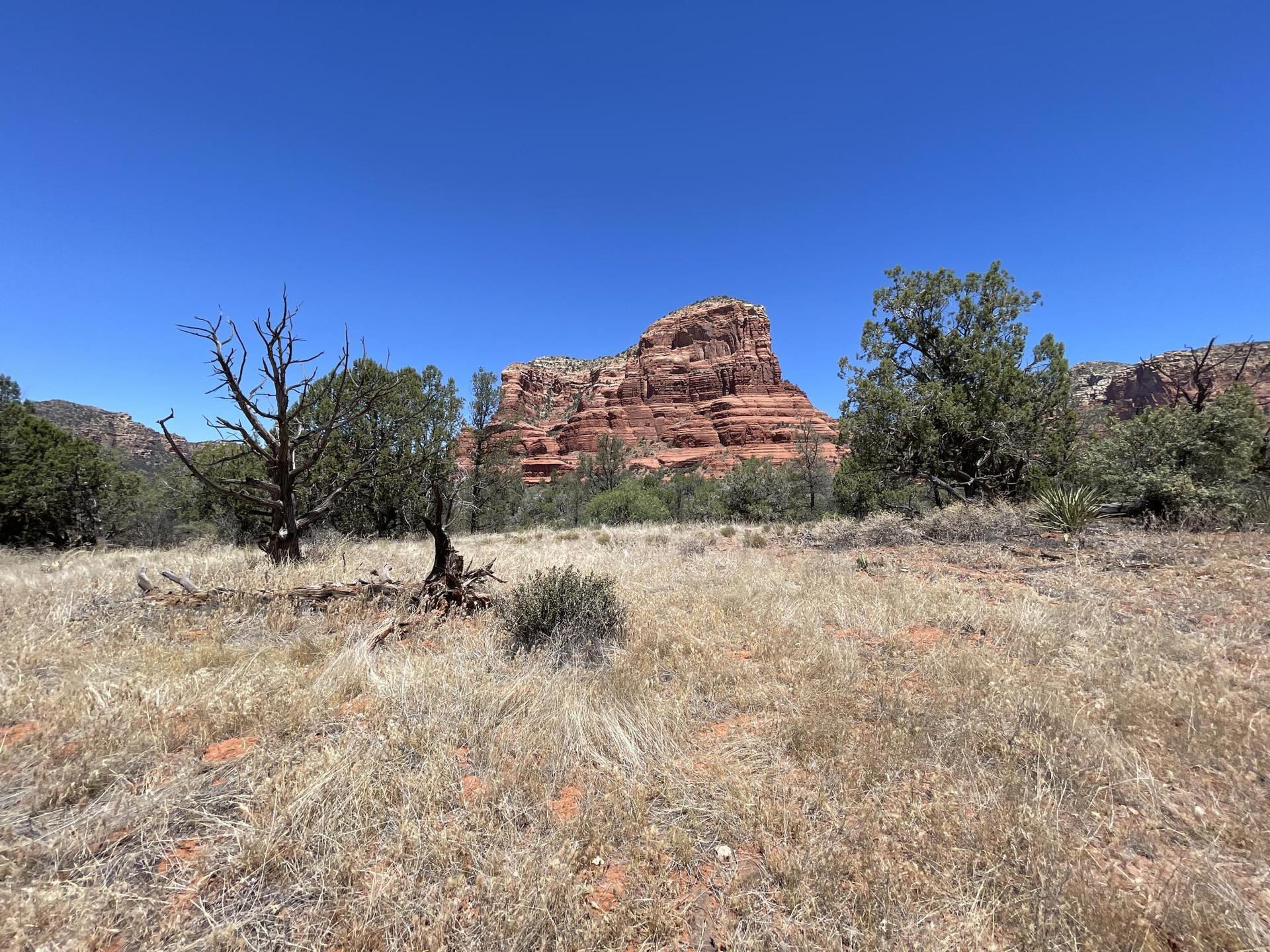 Red rock formation in distance, with dry grass and scattered trees under clear sky.