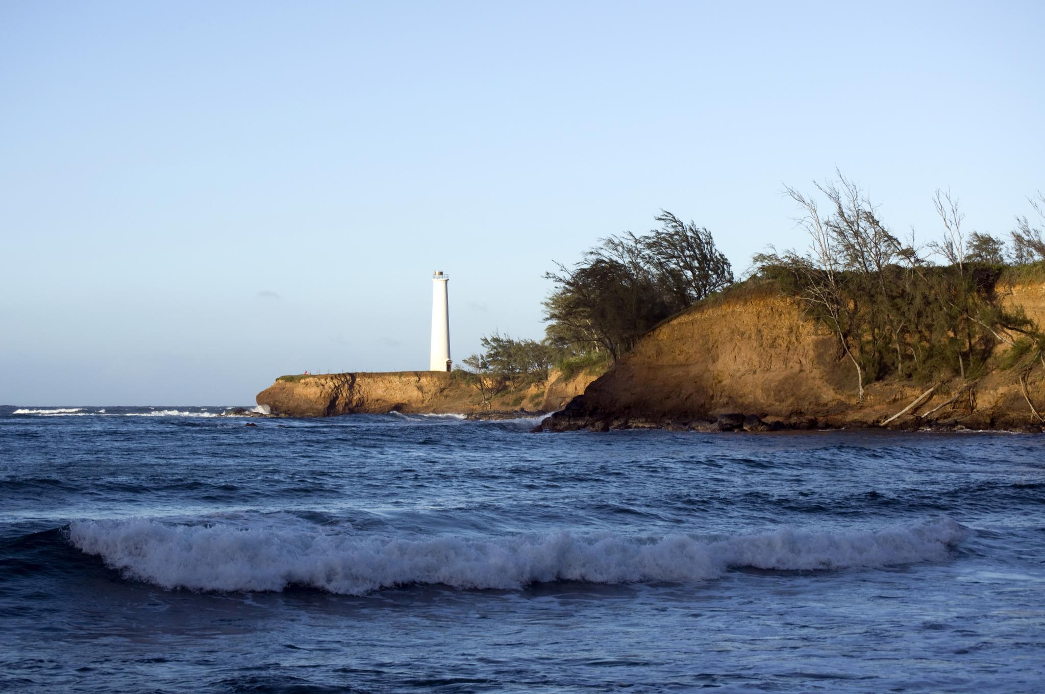 Ocean waves crash near a white lighthouse on a rocky, tree-lined cliff.