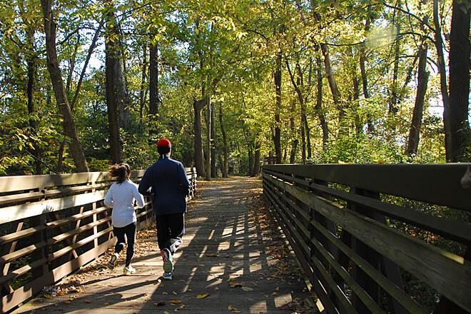 Two people run on a sunny wooden path through a dense forest.
