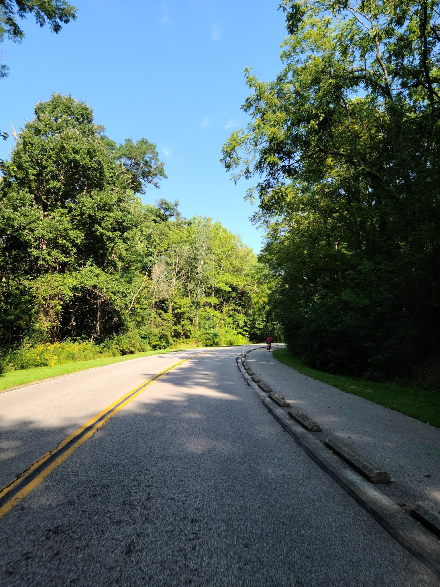 Paved road winding through a sunny green forest with dappled light. - Running loop from Strongsville Backyard Preserve