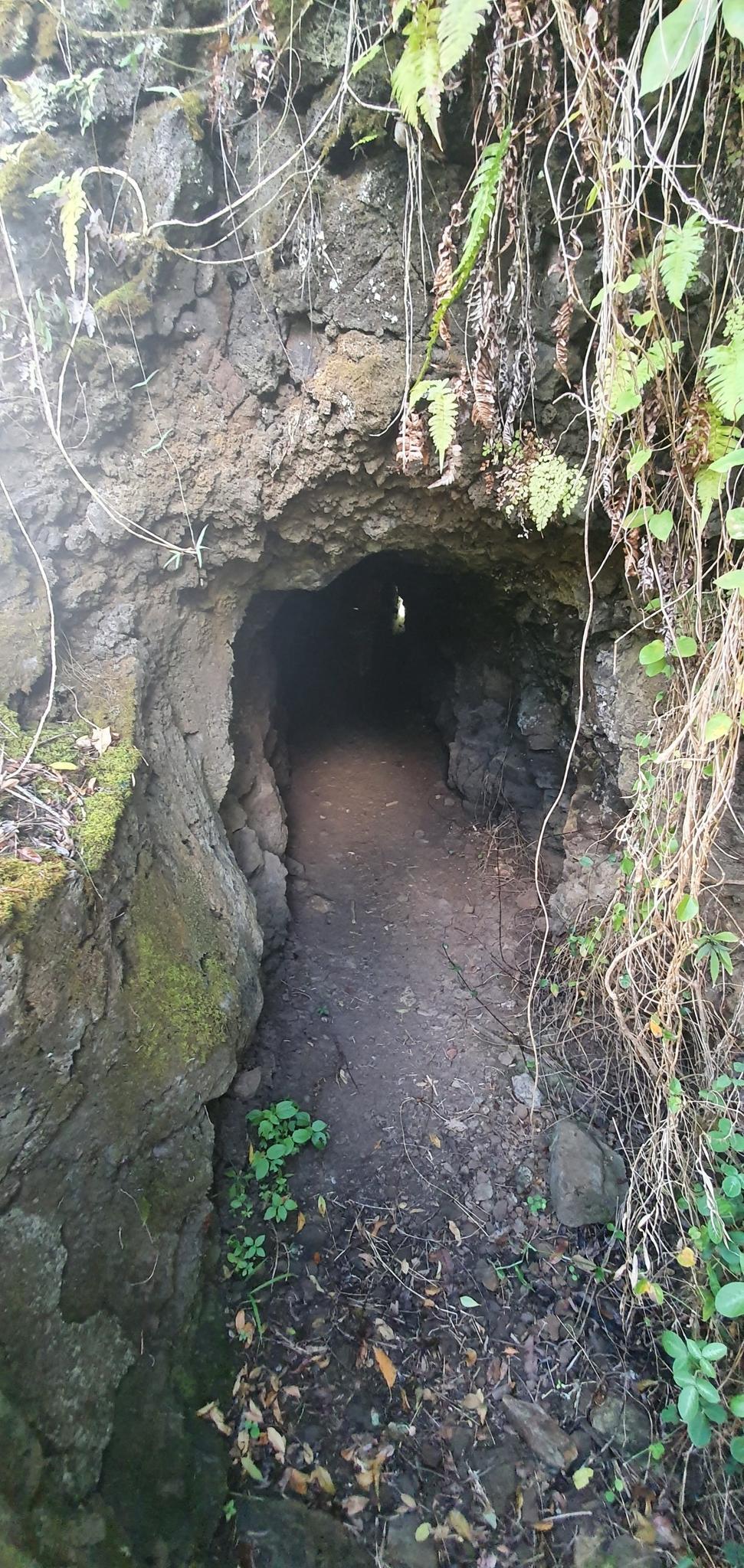 A dark, rocky tunnel entrance with an overgrown path leading inside.