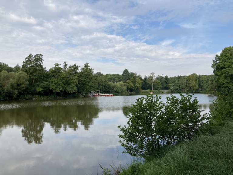 Steinbrücker Teich Wanderungen und Rundwege komoot