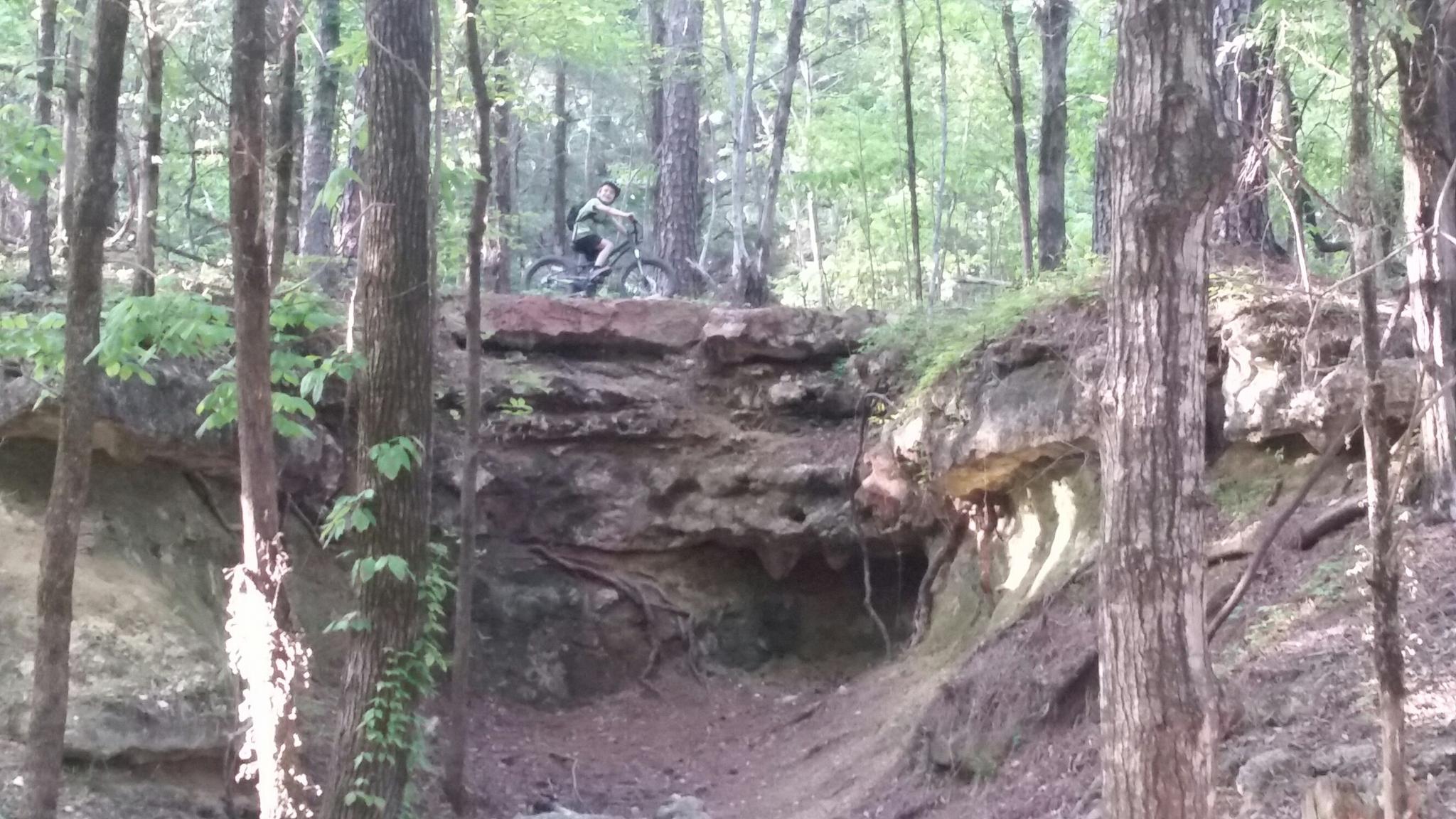 Mountain biker poised on a rocky cliff edge in a green forest.