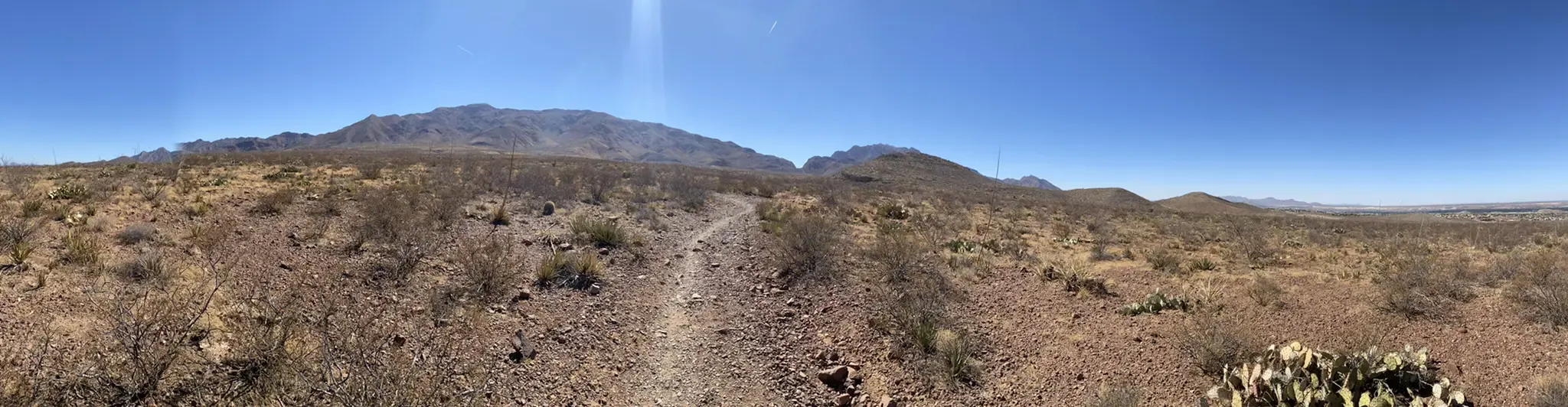 Bright desert landscape with a dirt path leading to distant mountains. - Lechuguilla, Baby Head, El Globo, P2, and Ocotillo Loop