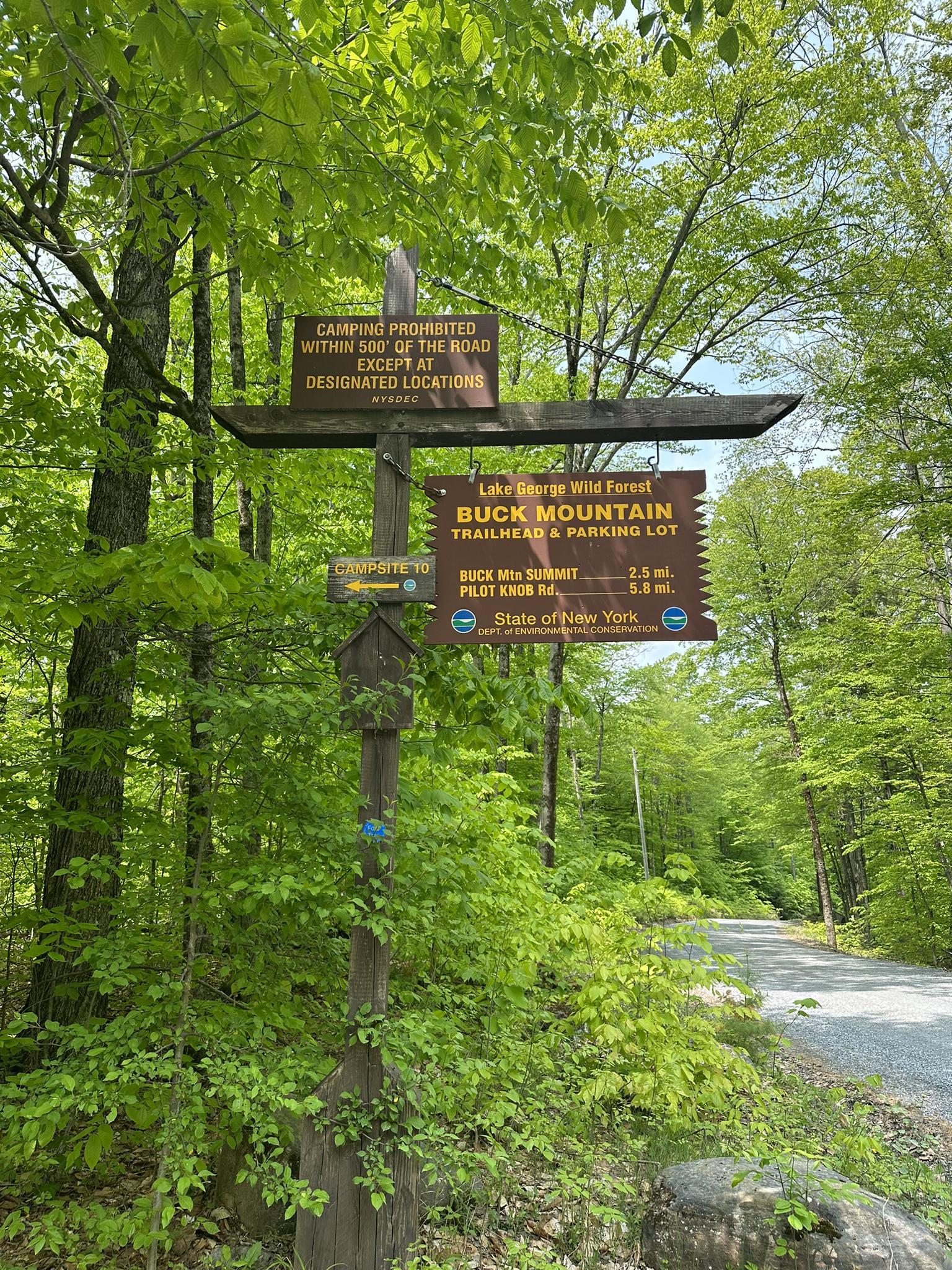A wooden trail sign stands among green trees next to a paved road.