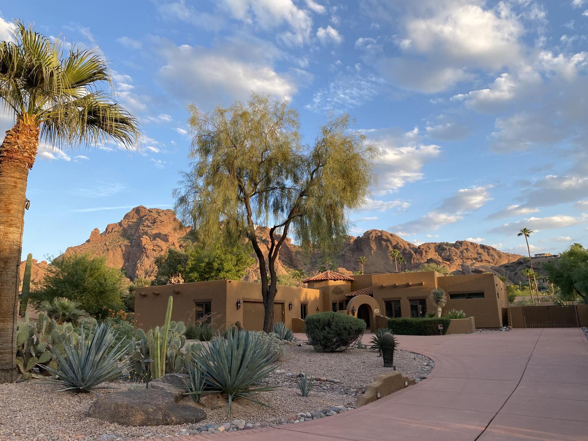 A desert home with cacti and palm trees, mountains in background, cloudy sky.