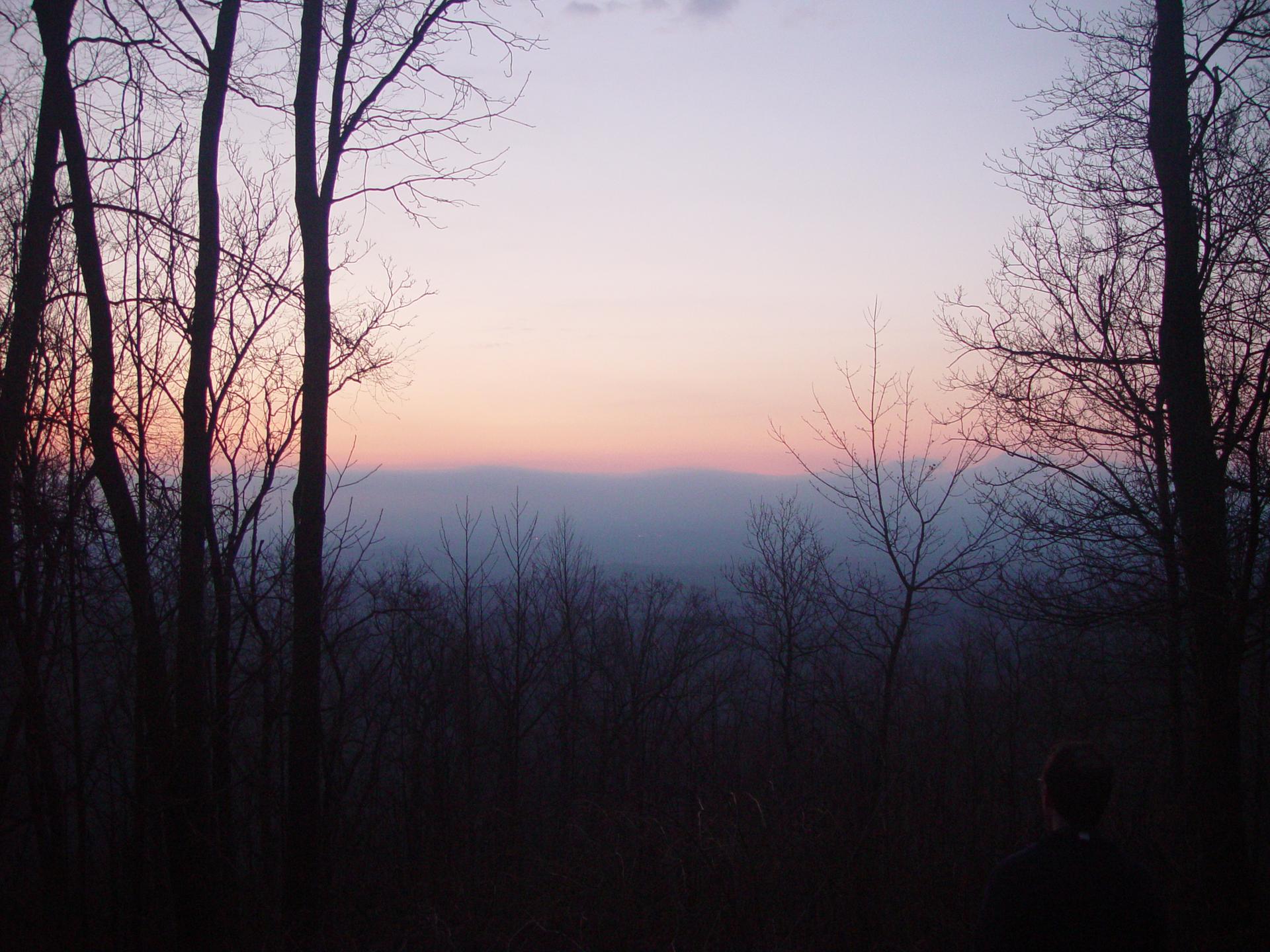 A person views a hazy sunset over distant mountains through silhouetted trees.