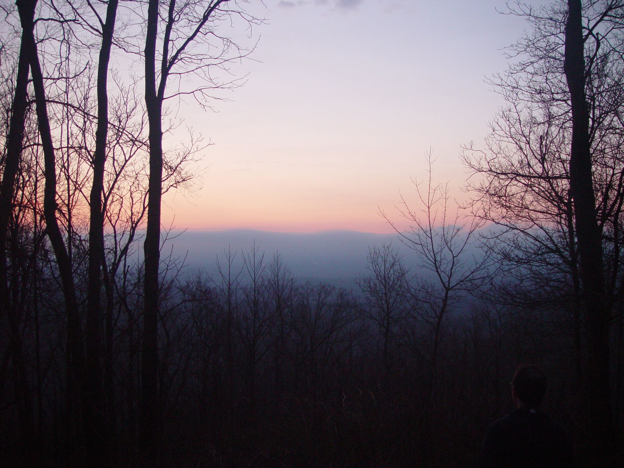 A person views a hazy sunset over distant mountains through silhouetted trees. - Blue Ridge WMA Loop ft. Appalachian Trail