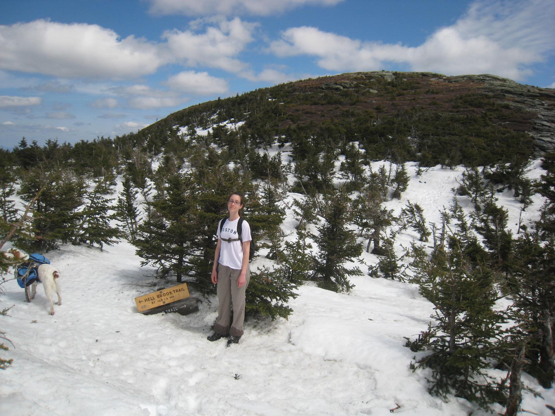 Person standing in a snowy mountain landscape with small evergreen trees.