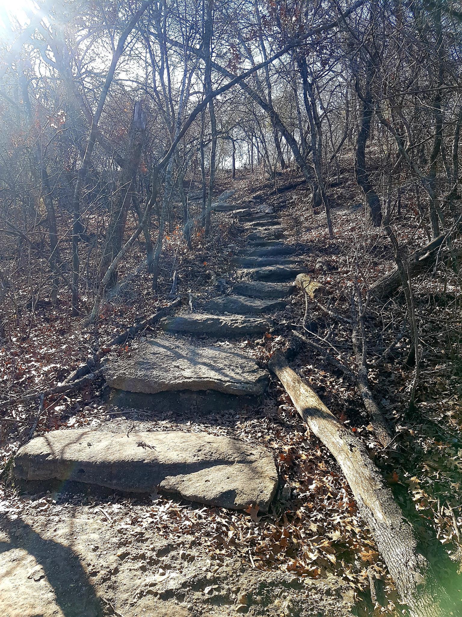 Rough stone steps ascend a sunlit hill through a winter forest.