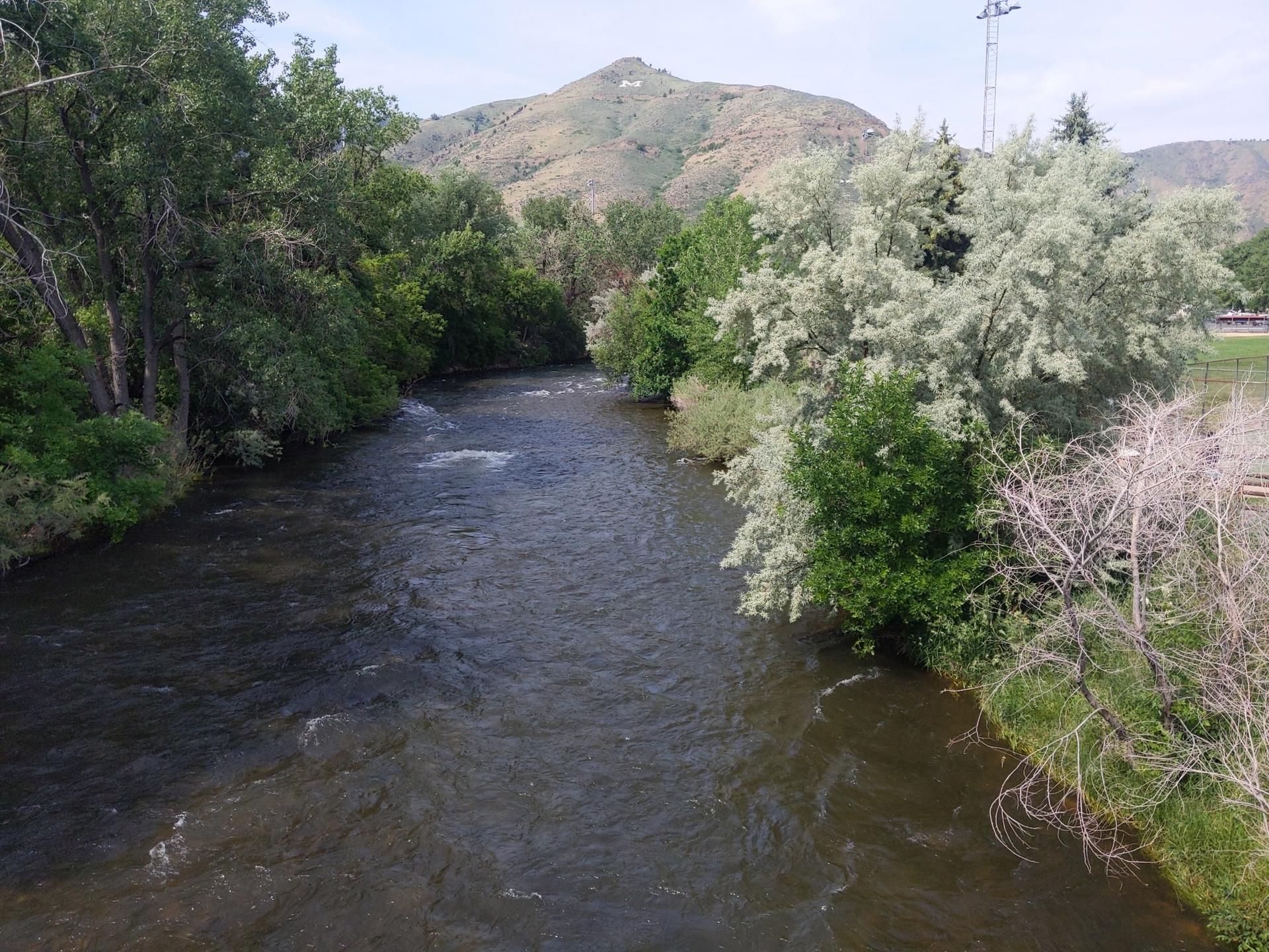 River winding through lush green trees with a mountain in the background.
