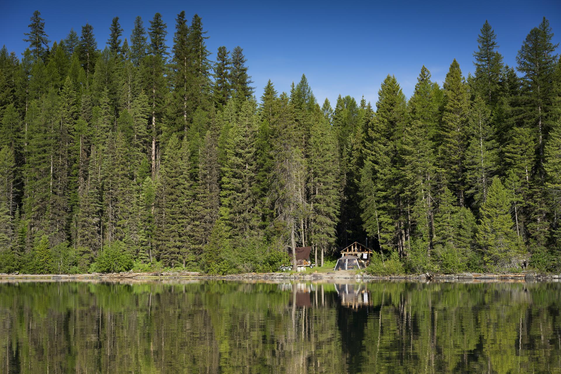 Dense evergreen forest lines a calm lake with a small structure.