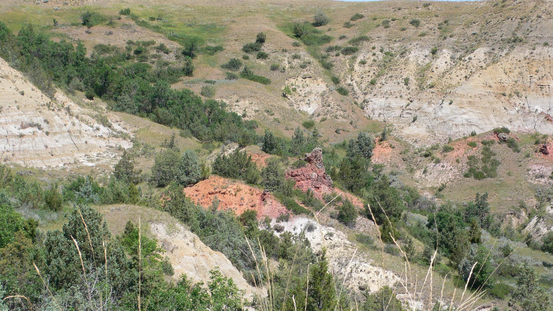 Steep, colorful badlands hills with green trees and shrubs under bright daylight.