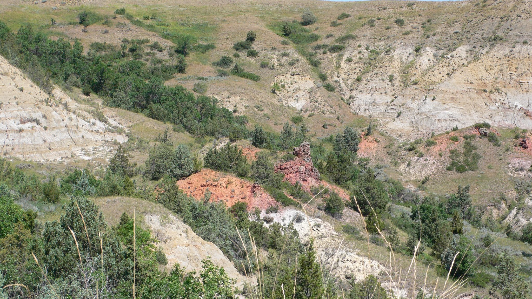 Steep, colorful badlands hills with green trees and shrubs under bright daylight. - The Big Plateau and Ekblom Trail Loop