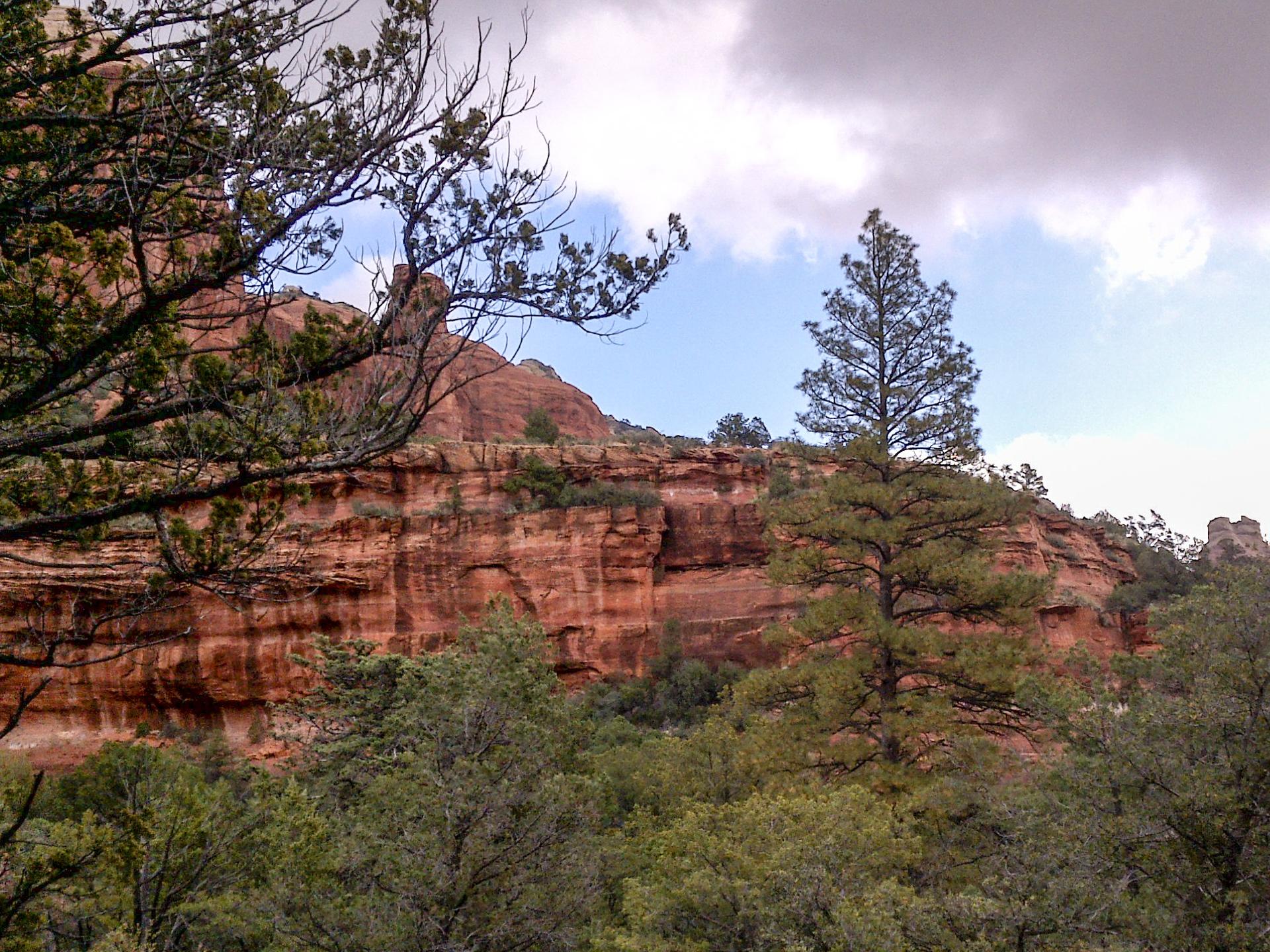 Red rock cliffs rise above dense green trees under a cloudy sky.