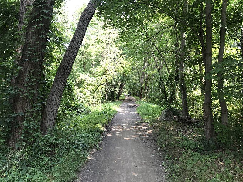 A sun-dappled dirt path winds through a dense green forest. - October Farm Riverfront – Davis Hill loop from Great Meadows National Wildlife Refuge