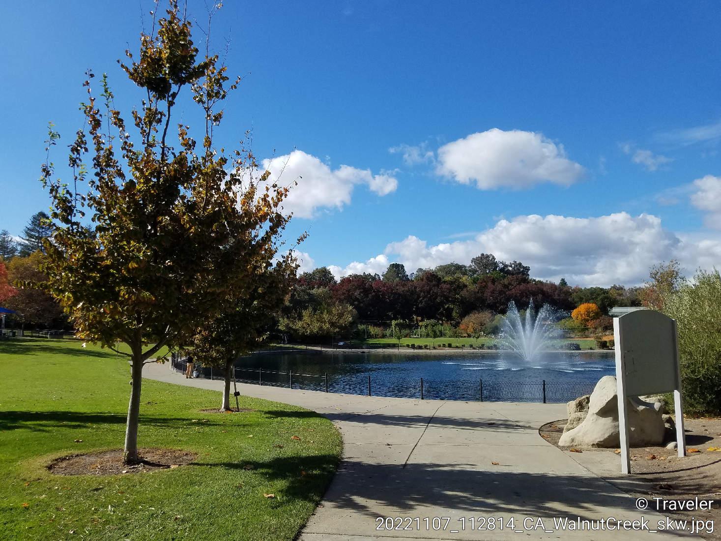 Park pond with fountain, green grass, autumn trees, under bright blue sky.