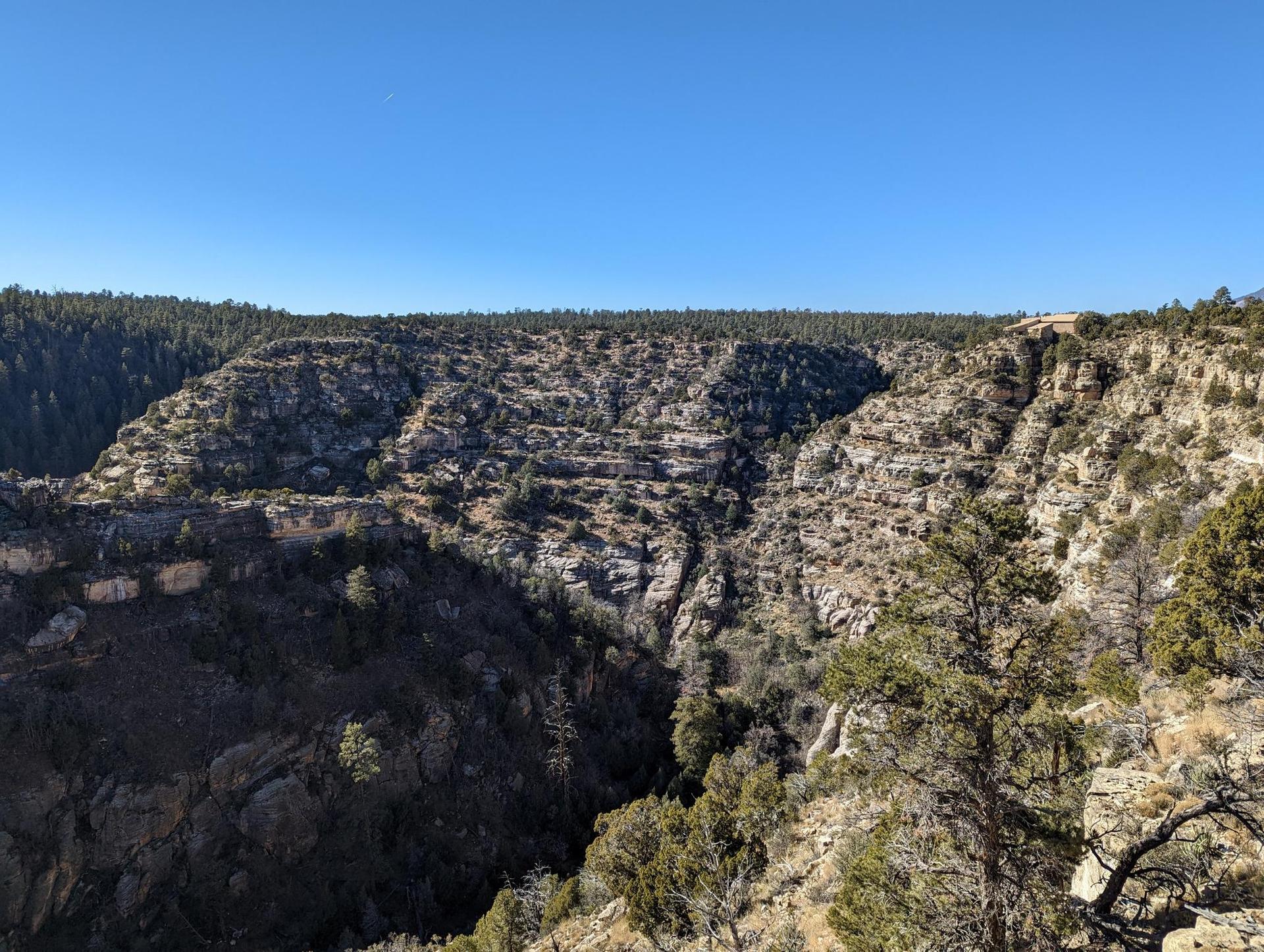 An expansive canyon with layered rock formations and trees under a clear blue sky.