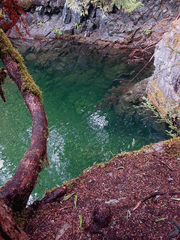 Clear green water in a rocky pool, with a mossy tree branch overhead.